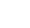 American Amicable